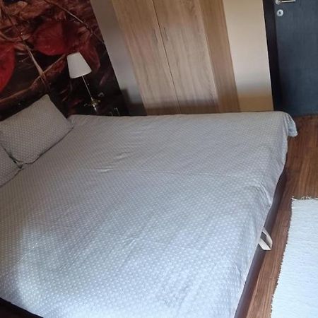 Apartment Vila Sandra ズラティボール エクステリア 写真