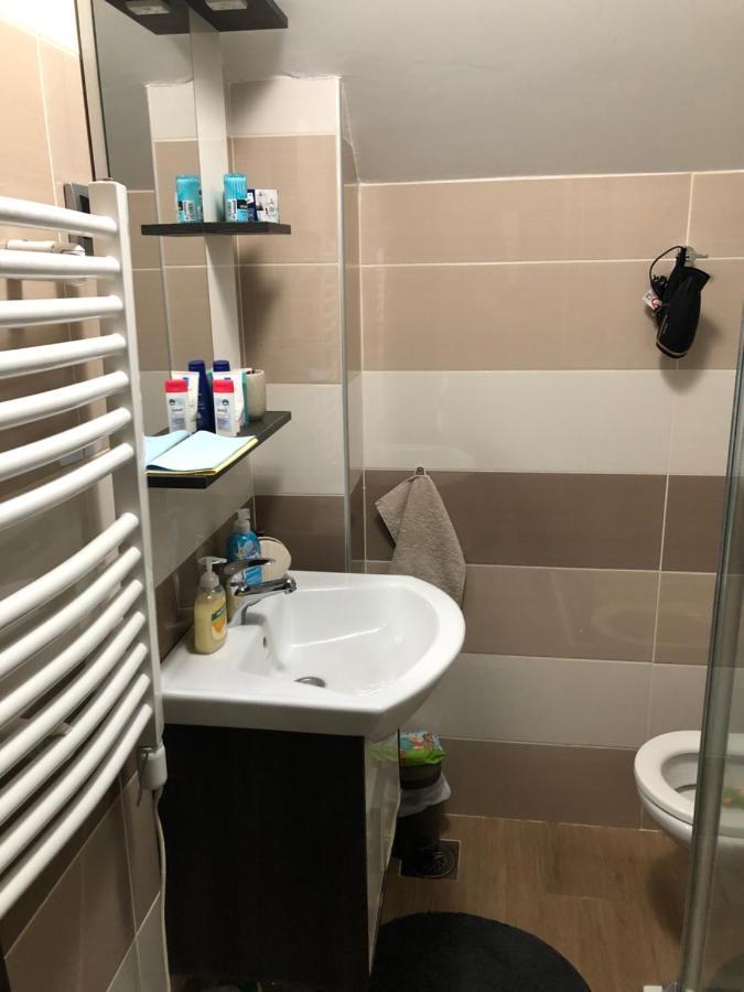 Apartment Vila Sandra ズラティボール エクステリア 写真