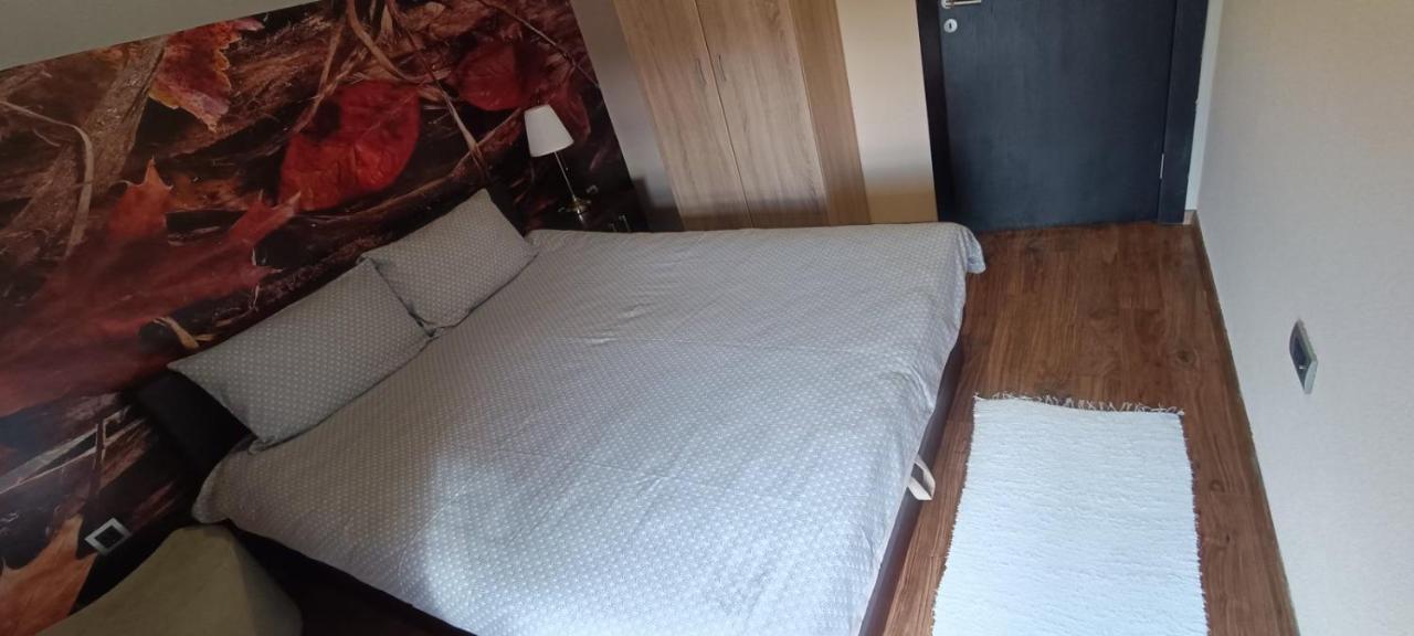 Apartment Vila Sandra ズラティボール エクステリア 写真