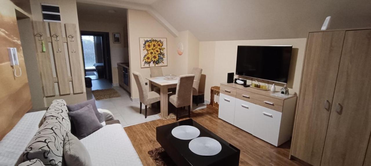 Apartment Vila Sandra ズラティボール エクステリア 写真